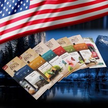 오토스틱 차량용 방향제, 레몬향