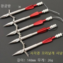 라오농 물고기 사냥 작살 촉 440C 스테인레스 스틸, 5 개의 다트 박스 핀 테이프가있는 4면 라이트 헌팅, 1개