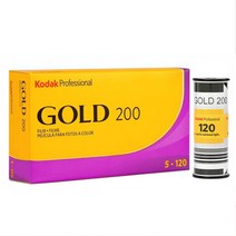 Kodak 코닥필름 컬러네거티브필름 골드 200/120 프로페스널 120중형필름 24년9월, 1개, 코닥필름 골드 200 120 중형 (1롤)