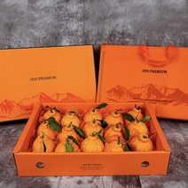 [고당도 과일] 프리미엄 제주 한라봉 특대과, 한라봉 고급 선물세트, 5kg(10과~15과)