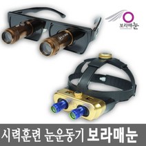 일반 기어형 보라매눈 수정체 활성화 시력 훈련 눈운동기 시력좋아지는법, 1개