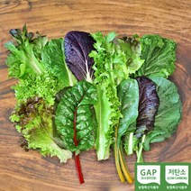 GAP 모듬 쌈채소 샐러드채소 600g 1kg 쌈야채, 모듬 샐러드채소 600g, 1개