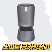 미니공기청정기 소형 원룸 공기청정기 차량용 휴대용, 멀티공기청정기(블랙)