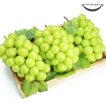 내입에 [내입에] 22년 경북 김천 고당도 샤인머스캣 1.5kg, 1