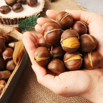 국산 공주밤 칼집 약단밤 알밤 군밤 약밤 생율 밤 군밤용밤 맛밤 1kg 2kg 4kg, 1.칼집 약단밤 4kg