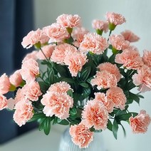 늘솜아뜰리에 고급 성묘조화 인테리어조화 8종, 7.카네이션-피치(살구색)