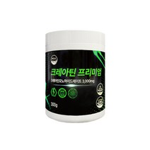 웰리즈 크레아틴 프리미엄 300g 모노하이드레이트 헬스보충제, 1개(2개월분) 300g