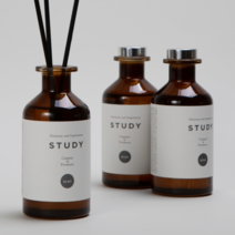 비듀이 스터디 집중디퓨저 민트 유칼립투스 공부방 서재 사무실 수험생방향제 200ML