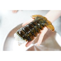 캐나다 대형 랍스타테일 170g-200g 1마리 랍스타꼬리 6-7온스, 1개, 1마리 170g-200g