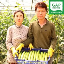 팔도명인 상주 백다다기 흑침 오이 오지이용 소박이용 백오이 20개 30개 40개 50개, 특등급 50개