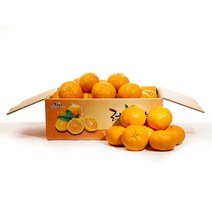 제주도 노지 귤 감귤 제주 감귤 제철 노지귤 3kg 5개입, 5kg 소과 5개