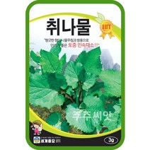 주주씨앗 취나물 씨앗 3g / 산채나물 종자 텃밭가꾸기 채소심기 채소키우기 참취 봄채소 곰취 미역취 개미취 각시취 자생나물 복쌈 쌈채소 민속채소씨앗
