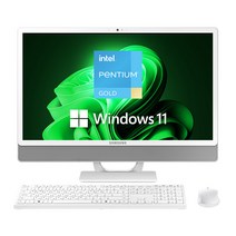 삼성 일체형PC 올인원PC DM530ADA-L25AH (인텔 펜티엄 7505 60.5cm WIN11 PRO 8GB 128GB SSD), WIN 11 PRO, DM530ADA-L25AH 8GB SSD 128GB