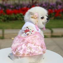 레이스 한복 애완 동물 강아지 옷 웨딩 드레스 개 의류 고양이 작은 수 놓은 귀여운 얇은 여름 파티 소녀, 03 pink_05 XL