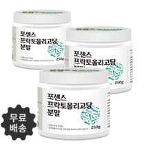 신 프리바이오틱스 프락토올리고당 이눌린 자일로 FOS 장내 유익균 효능 250g/3통, 포센스 250g 1통