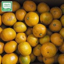 [MD추천] 무농약인증받은 노지감귤 로얄 중소과 5kg 10kg, 1박스