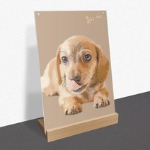 모노치 반려동물 초상화 강아지 고양이 그림 탁상액자 무지개다리 추모 생일파티 선물, A4 (210x297mm), 08. L타입 사선우드