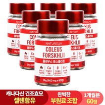 건조효모 콜레우스 포스콜리 결정판 60정 셀레늄 판토텐산 칼슘, 6개