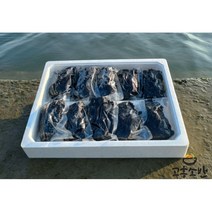 2023 고흥 햇 물김 300g 개별 진공 포장 산지직송 5개 10개