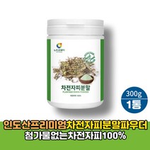 NTW 차전자피 식이섬유 분말 1통 300g 파는곳 섬유질많은음식 가루 자전차피 파우더
