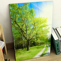 cr613-아크릴액자_햇살가득한숲길(대형)