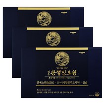 일동 관절 진보원 프리미엄 3개월 식약처 인증 액상 MSM 배송, 일동 관절진보원 프리미엄3개월 x 90포+케어리브