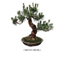 도로화분 대형화분 받침 항아리받침, 수조판