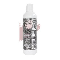 곰팡이성피부 저알러지 약용샴푸 500ml 가려움증예방 모낭충 각질관리 하이포알러지