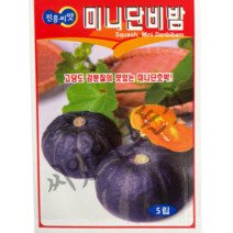 미니단비밤호박씨앗5립 맛있는단호박종자 진흥