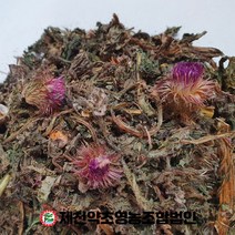 국산 대계잎(대계초) 엉겅퀴잎 300g 제천약초영농조합 제천약초시장, 1