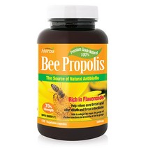비 프로폴리스 500mg 120식물성캡슐 플라보노이드 함유 허바 캐나다, 120캡슐/1병
