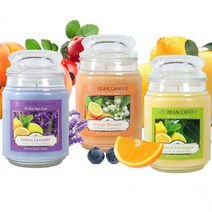 소이 아로마캔들 차량방향제 567g 워머 무드등만들기 향초 향수공방 석고방향제 화장실방향제 실내방향제 13종, 쿠팡2 시트로넬라, 쿠팡2 본상품선택