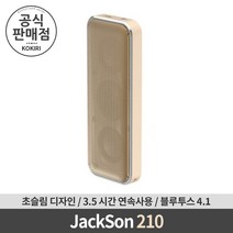 JackSon 210 서브우퍼 블루투스 스피커 (골드)