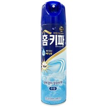 홈키파 수성 에어졸 무향, 24개, 500ml