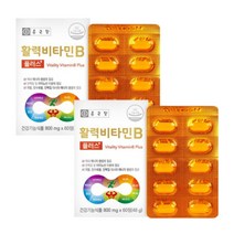 종근당 활력 비타민b 플러스 청소년 수험생 여성 남자 비타민 영양제, 2박스, 60정