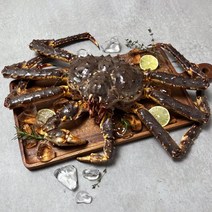 은하수산 살아서 도착하는 레드 활 킹크랩 2.4-2.6kg, 단품