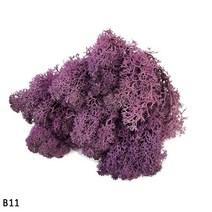 조화 인공 자연 식물 영원 생명 이끼 미니 마이크로 조경 액세서리 홈 꽃, 11 B11_02 40g, 11 B11_02 40g