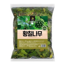 국내산 황칠나무 건재 500g 비타민 셀레닌 황칠나무차, 1개
