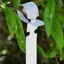 100P 나무 줄기 걸이 띠 라벨 식물 인식표 수목 표찰