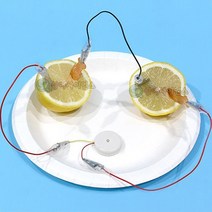 SA 안전 집게전선 과일전지(멜로디버저)(1인)-JSA
