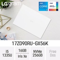LG전자 2023 그램17 13세대 17ZD90RU-GX56K - 최신형 업무용 노트북 [특별 사은품 증정], W, 코어i5, 256GB, 16GB, FREEDOS