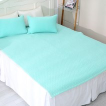 이솔홈 국내산 순면 피그먼트 침대 패드 이불 겸용 60수 아사, 민트