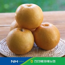 천안배원예농협 농협 알뜰 천안 신고배 5kg