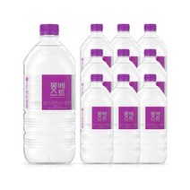 한국청정음료 몽베스트 2L 12개