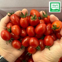 [GAP 인증] 전남 나주 대추 방울 토마토, 1개, 2.5 kg