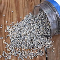 [부지런한농부] 국내산 전남고흥군 페트용기 강호청보리 800g x 3개