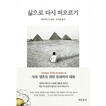 삶으로 다시 떠오르기:자유 영혼을 위한 톨레와의 대화, 연금술사, 단품