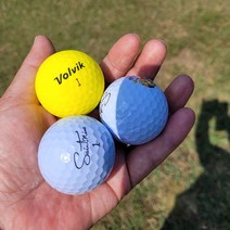 로스트볼 혼합 화이트 A+ 등급 10구 라운딩용 골프공 중고 로스트, 볼빅화이트S (10구)