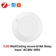 재실감지센서 감지기 인체 G 레이더 조도 럭스 투야 스마트 라이프 홈 자동화, 3.58G With 16A Relay