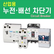 나노전기 (산업용) (사은품) 반드시 설치! 고감도 누전 배선 차단기 두꺼비집 주택 아파트 다세대, 산업용 배선 차단기 (NFB) / 25. NBH-204s/ 175A